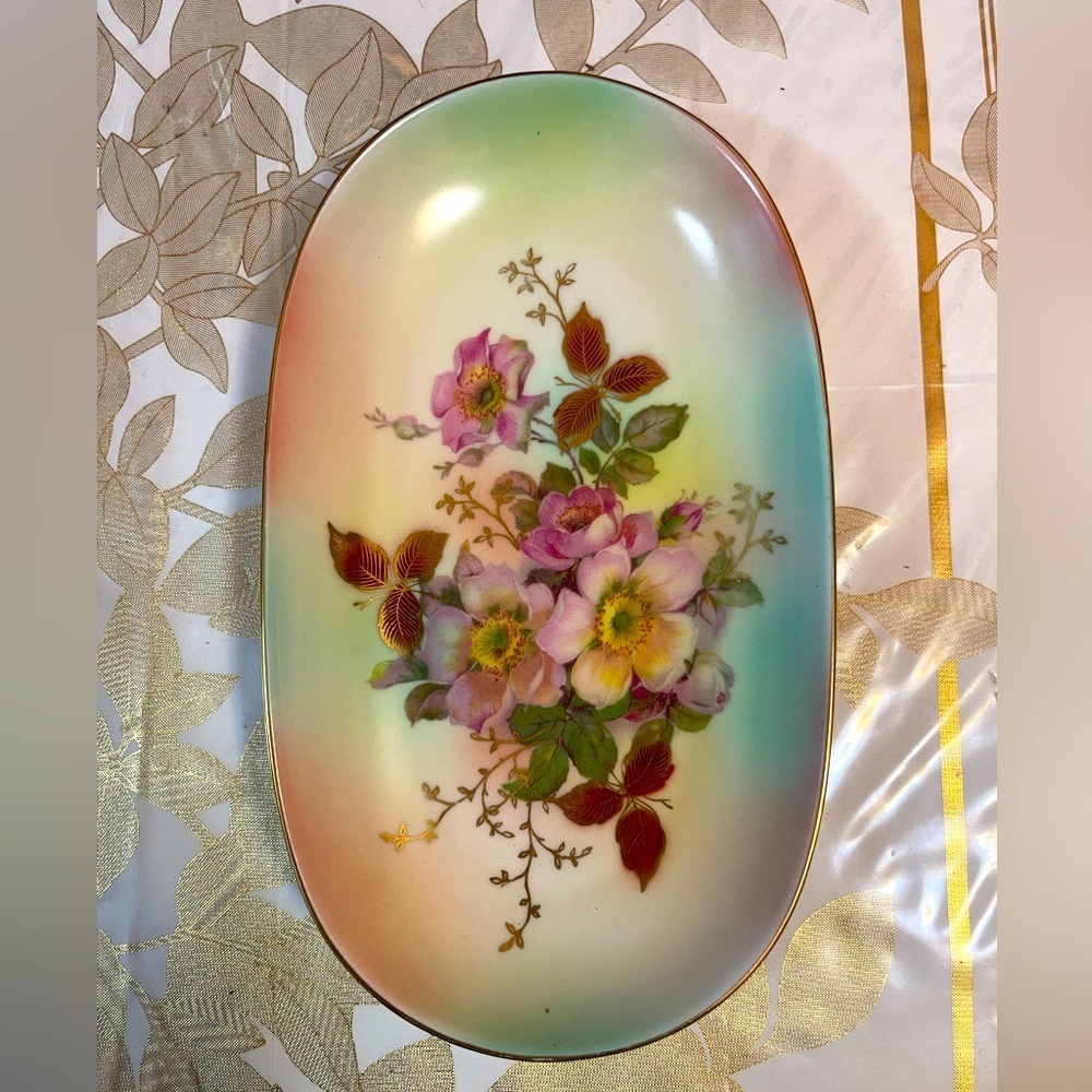 VINTAGE SCHUMANN ARZBERG GERMANY PORCELAIN WILD ROSE BLUSH IRREGULAR SHAPE PLATE